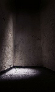 The Great Below