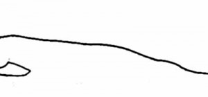A drawing of a hand using curves instead of lines